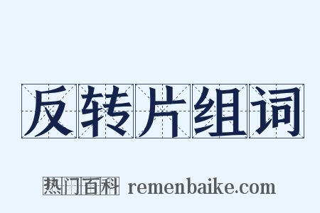 反转片组词是什么意思的图片